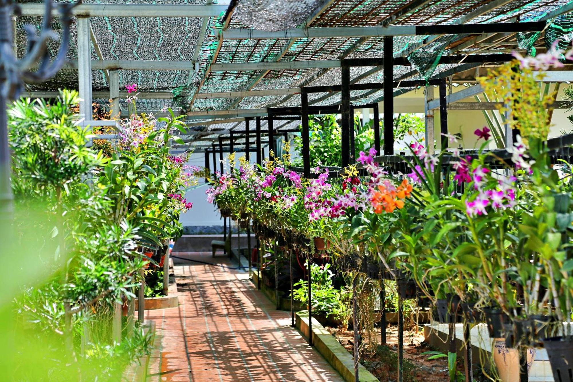 881 Lam Ha Pool Resort Phú Quốc-sziget Kültér fotó